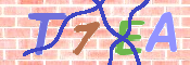キャプチャ画像