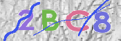 キャプチャ画像