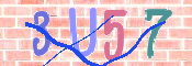 キャプチャ画像